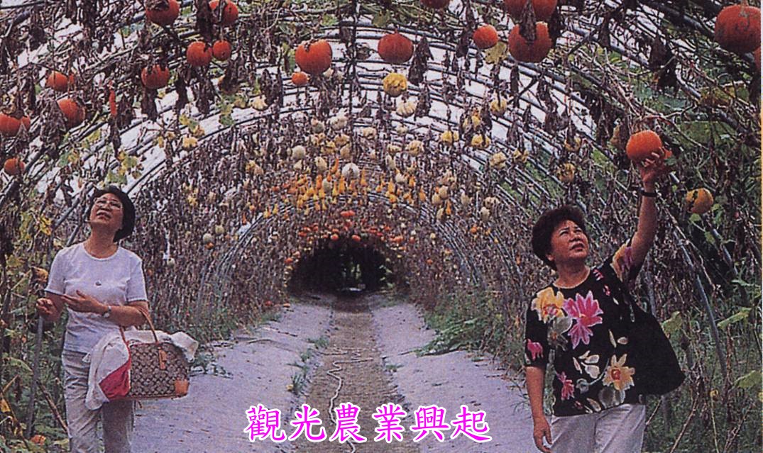 觀光農業興起