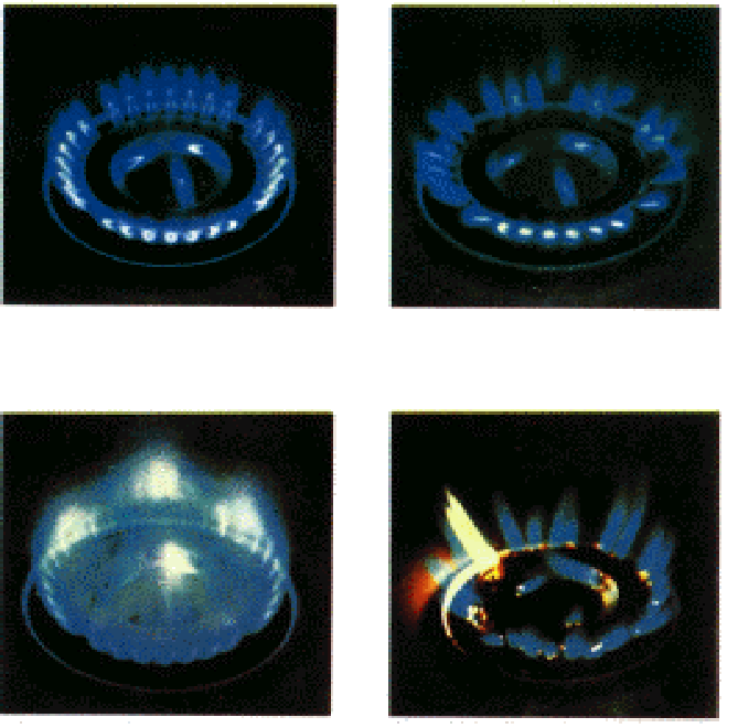 img11.gif